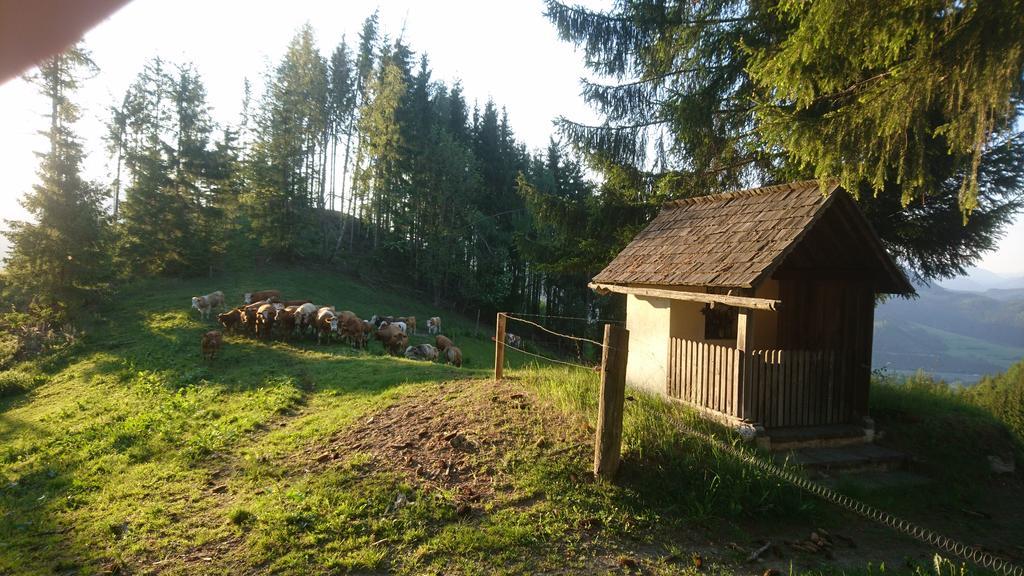 Bio-Peisingerhof Apartman Sankt Stefan ob Leoben Kültér fotó